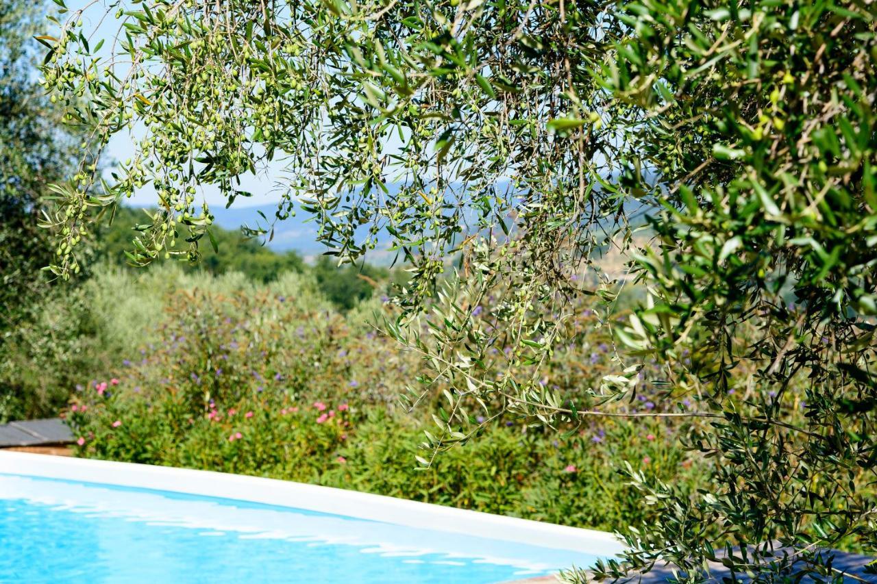 Agriturismo La Pieve Pelago Экстерьер фото
