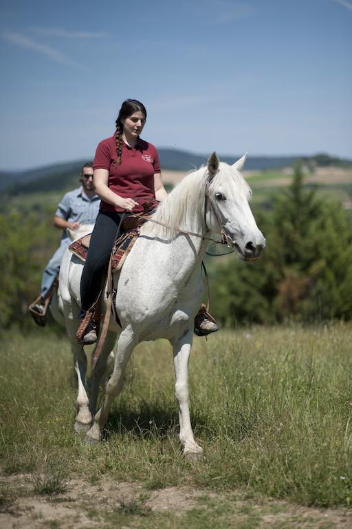 Agriturismo La Pieve Pelago Экстерьер фото