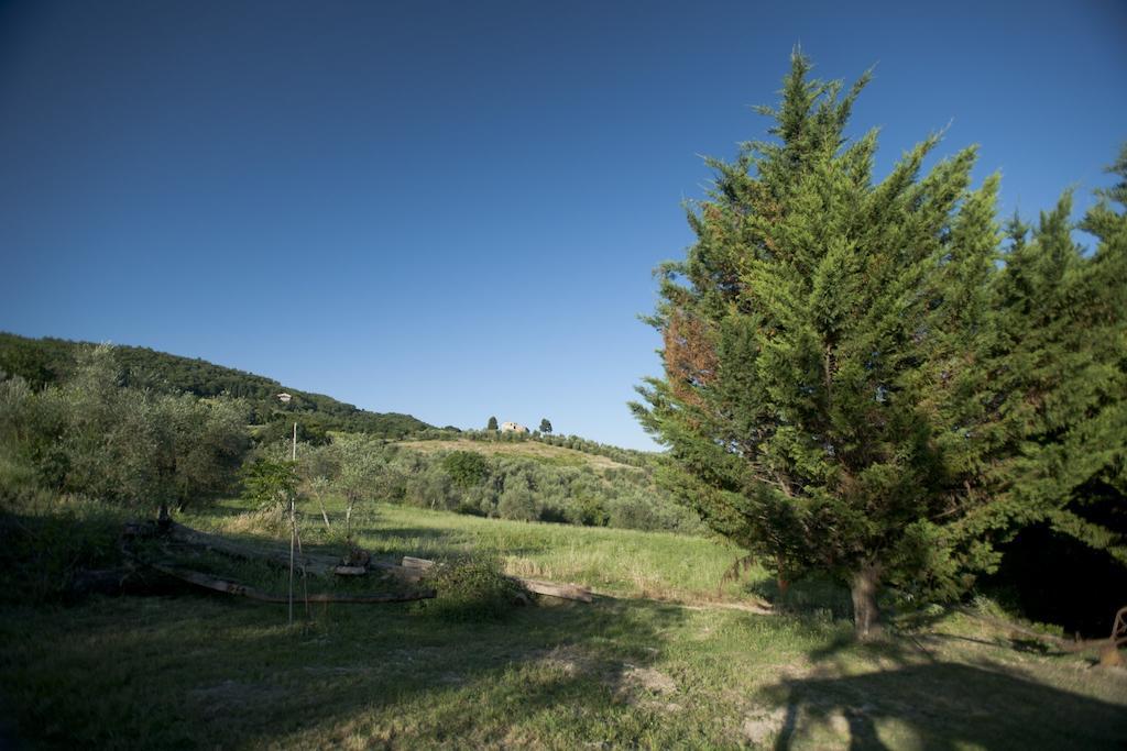 Agriturismo La Pieve Pelago Экстерьер фото